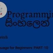 Java Programming In Sinhala Part 10 Switch Statement