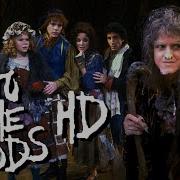 Into The Woods HD Fan Remaster Chapters Subtitles English Spanish Italian