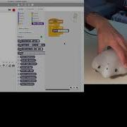 Finch Robot Accelerometer Shake Sensor
