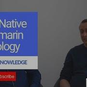 React Native Vs Xamarin