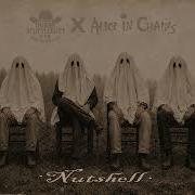 Alice In Chains Nutshell Dark Country Cover By Duane Scuttlebutt The Fog Town Five