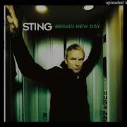 Sting Desert Rose Instrumental