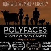 Polyfaces A World Of Many Choices
