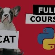 Image Classification With Python FULL COURSE Computer Vision
