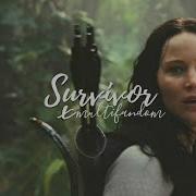 Multifandom Survivor