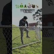 How Animals Get Over A Fence With Emojis