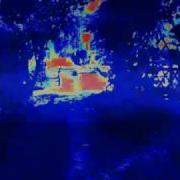 Predator Vision Test