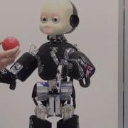 ICub Balancing And Reaching