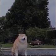 When You Shoot A Mod Admin In Zarp Fs