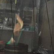 Fire Tornado Testing