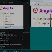 Angular Error Cannot GET New Images Files After Ng Serve