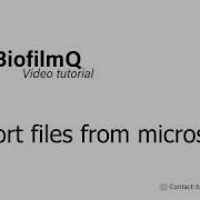 BiofilmQ Tutorials 1 3 1 Import Microscope Image Files