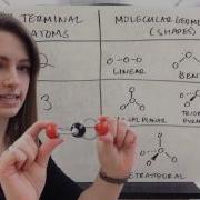VSEPR Theory