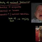 Ethology And Animal Behavior