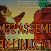 Hello World ARM32 Assembler Linux