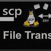 How To Securely Transfer Files Between Servers With Scp Scp Tutorial Step By Step