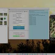 TreeTools VirtualPlot Tutorial BETA Release Version 2 Jan 2025