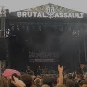 DECAPITATED Live Brutal Assault 2017