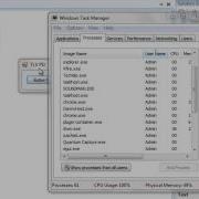 VB NET Task Manager Process Hider
