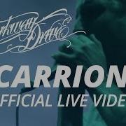 Parkway Drive Carrion Официальное HD видео в прямом эфире