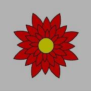 Basic Python Turtle Code Flower 2