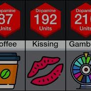 Comparison Human Pleasure
