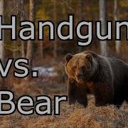 Best Pistols For Bear Attacks Using Real Life Data