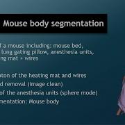 Tutorial Video CT Mouse Body Segmentation