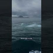 The Deadly Beauty Of A Whirlpool