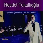 Artık Yeşerecek Bir Dalım Yok Paydos