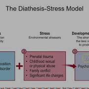 Chapter 13 Psychological Disorders