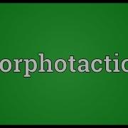 Morphotactics Meaning