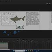 Adobe Animate Basic Keyframe Animation For Slideshow