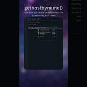 Python Socket Gethostbyname
