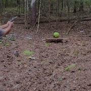 500 Magnum Vs Watermelon