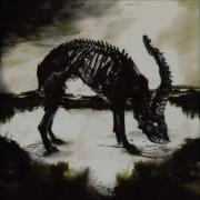 AMENRA Ritual