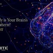 How Costly Is Your Brain S Activity Pattern Dani Bassett