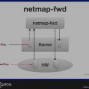 Netmap Fwd
