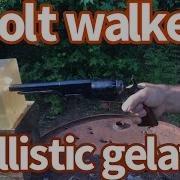 Colt Walker Versus Ballistic Gelatin