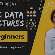 L6 Add Items Using Splice Basic Data Structures FreeCodeCamp