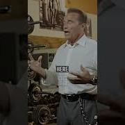 Arnold S TOP BACK Exercises Gymmotivation