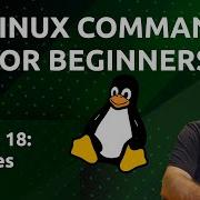Linux Commands For Beginners 18 Variables