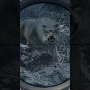 These WOLVES Wanted To EAT Me TheHunter Call Of The Wild