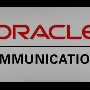 Oracle Form Error FRM 90928 Positional Parameter After Key On Command Line