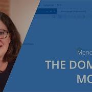 The Mendix Domain Model Setting Up Entities Attributes Associations