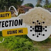 Rice Quality Detection Using Machine Learning AI Project