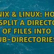 Unix Linux How To Split A Directory Of Files Into Sub Directories 2 Solutions