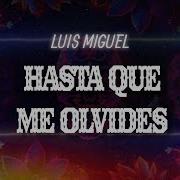Luis Miguel Hasta Que Me Olvides Letra Lyrics
