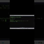 Linux Head Command Explained In 1 Minute Shorts