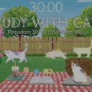 Study With Cats Animation X Pomodoro 30 10 Spring Study In The Backyard Chill Beats Mix